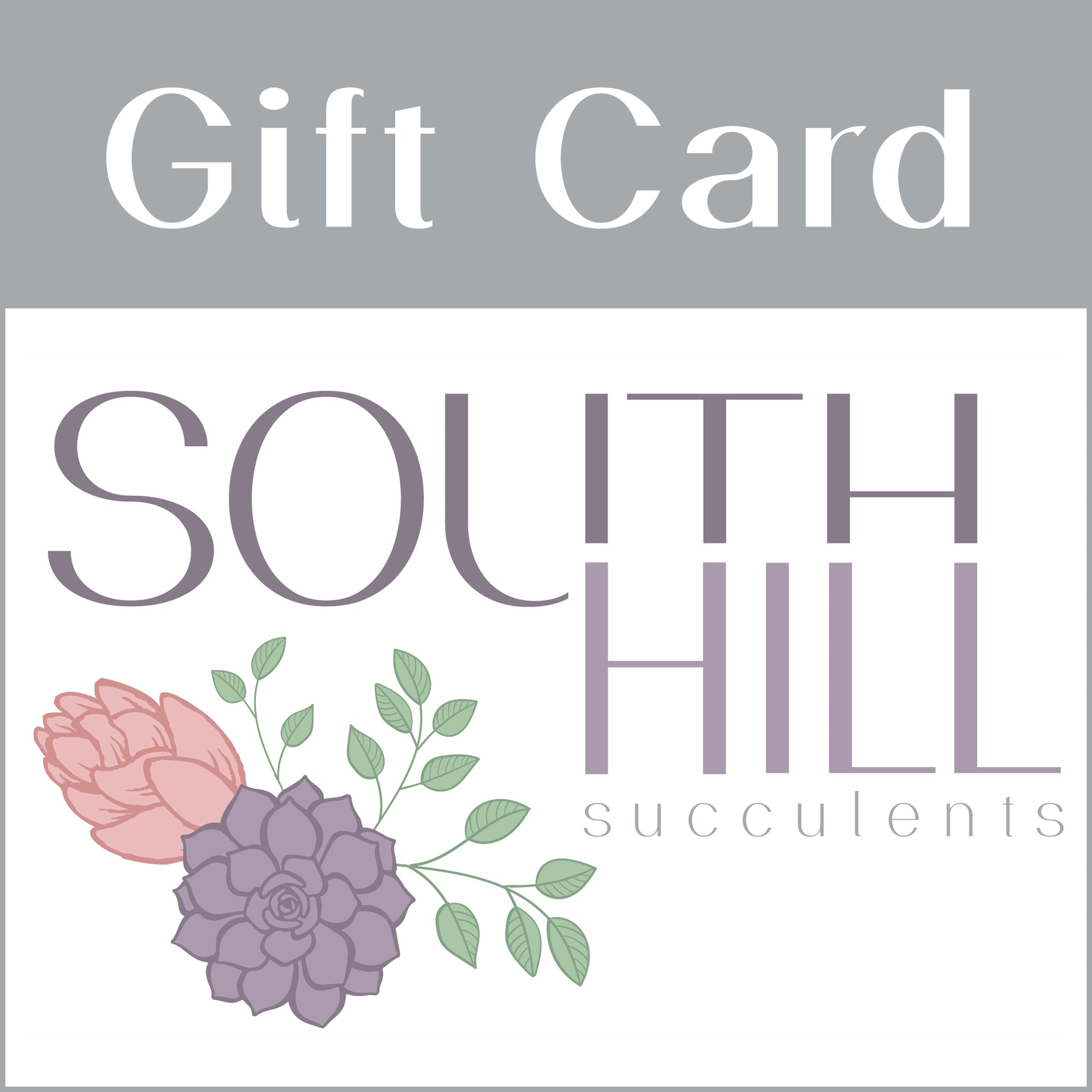 South Hill Succulent eGift Card
