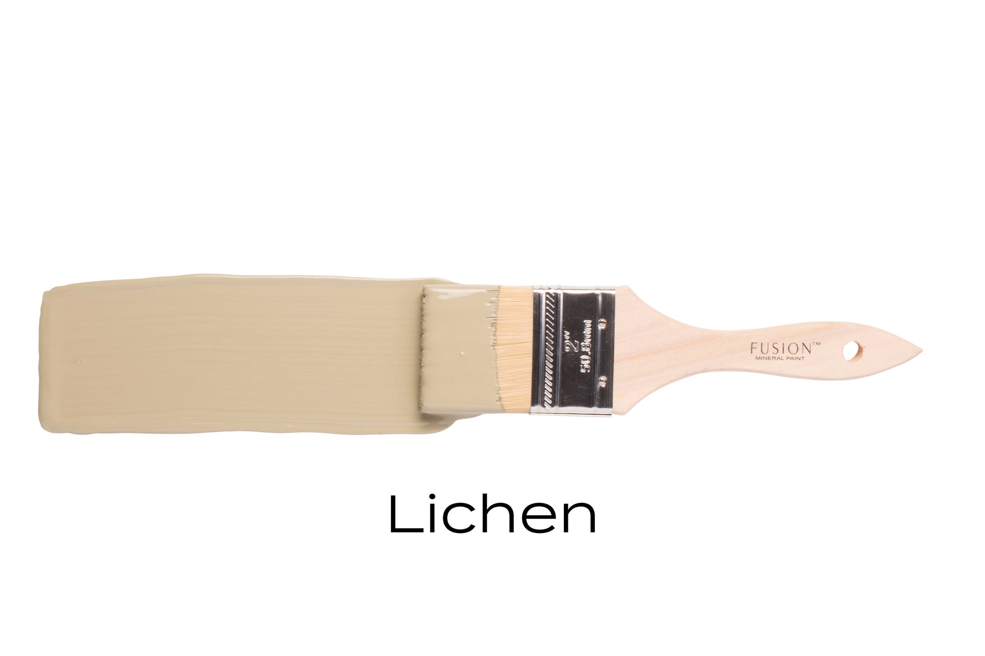 Fusion Paint PINT: Lichen